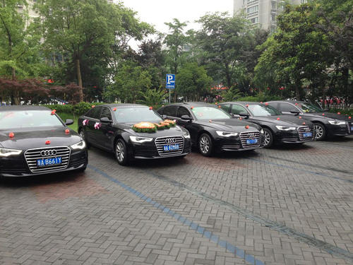 案例展示三